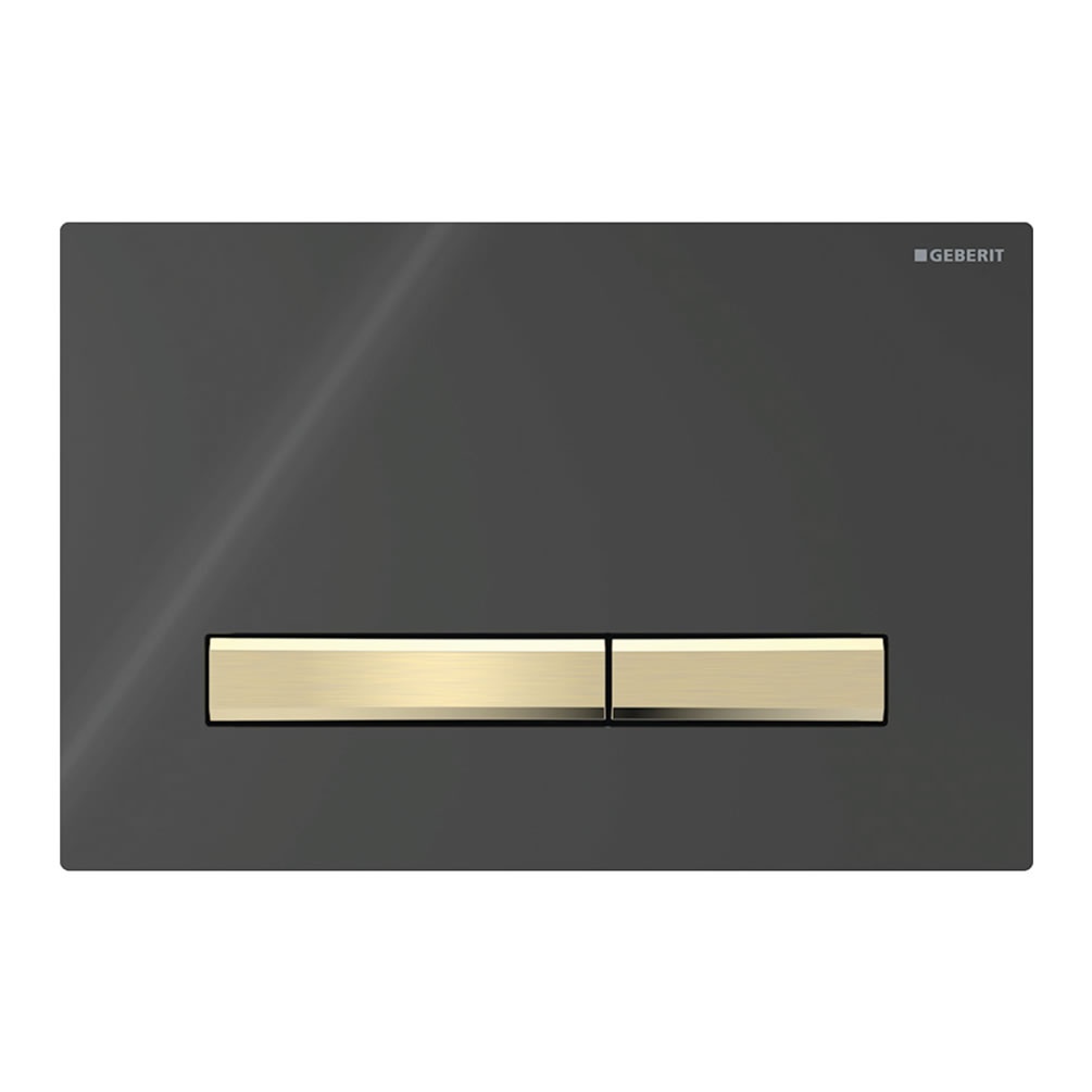 Cutout image of Geberit Sigma50 Square Black / Brushed Brass Dual Flush Plate